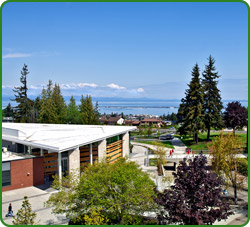 NSO-Sidebar-Image_01